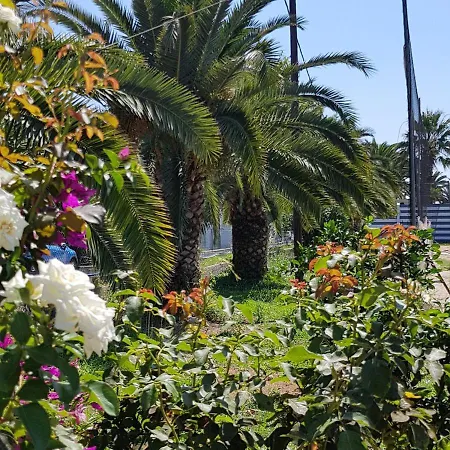 Malibu Summer Studios ذيسْخا