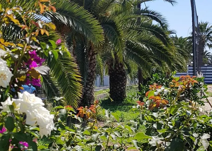 Malibu Summer Dassia (Corfu)