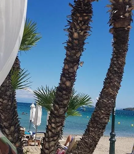 Malibu Summer Dassia (Corfu)